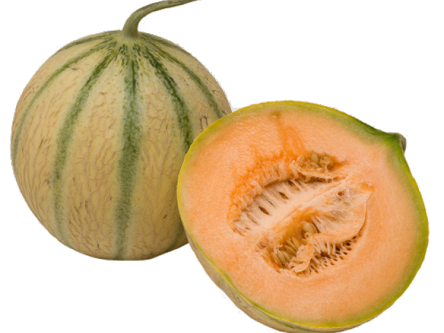 Melon
